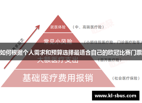 如何根据个人需求和预算选择最适合自己的欧冠比赛门票