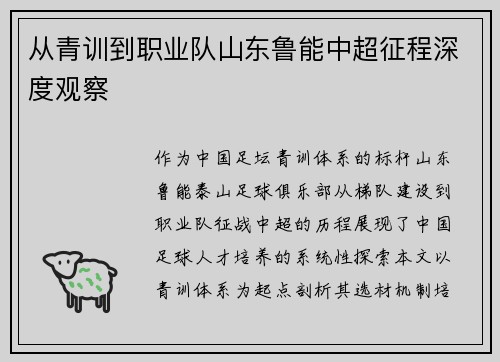 从青训到职业队山东鲁能中超征程深度观察