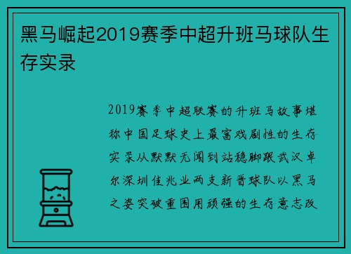 黑马崛起2019赛季中超升班马球队生存实录