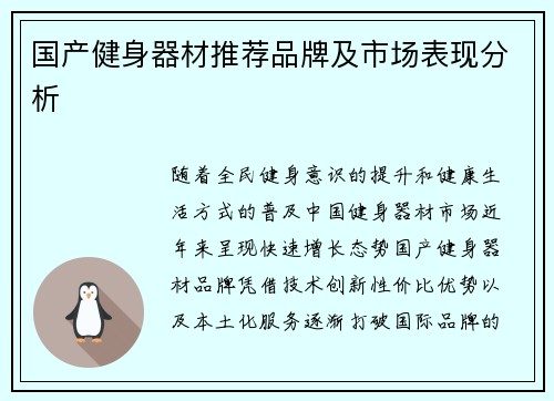 国产健身器材推荐品牌及市场表现分析